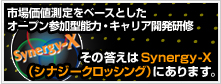 市場価値測定をベースとしたオープン 参加型 能力・キャリア開発研修／その答えはSynergy-X（シナジークロッシング）にあります。