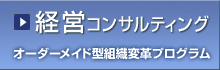 【経営コンサルティング】オーダーメイド型組織変革プログラム